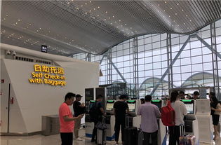 白云機(jī)場(chǎng)t2航站樓做了這件事,辦機(jī)票托運(yùn)行李 只用5分鐘