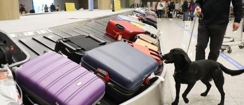 韓國(guó)機(jī)場(chǎng)港口將強(qiáng)化安檢 旅客入境時(shí)間延長(zhǎng)