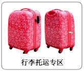 北京至奎屯貨運(yùn)及行李托運(yùn)服務(wù)